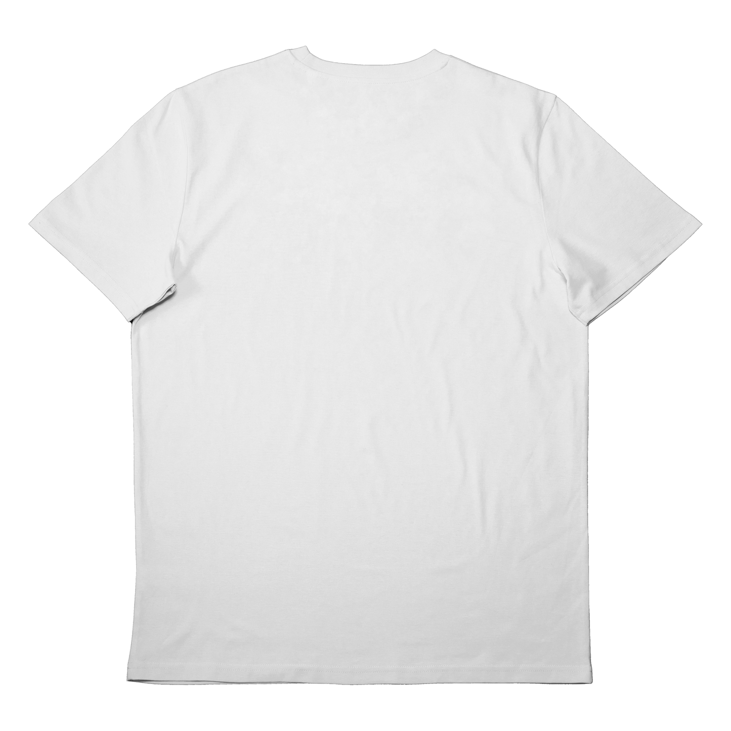 SHIRT INTERNET